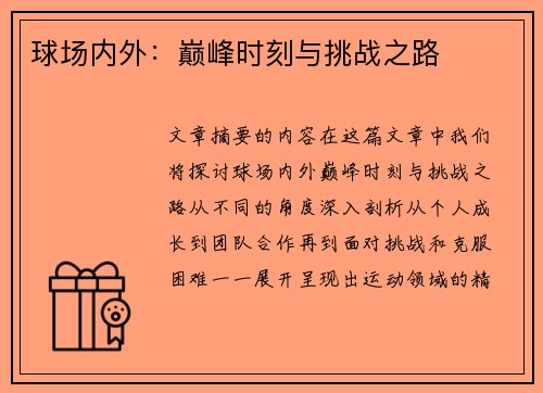 球场内外：巅峰时刻与挑战之路